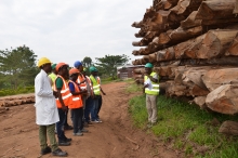 Members of the Project Steering Committee listen to Walter Mapanda- Forest and Business Development Advisor at FAO during a tour of the pole treatment plant at New Forests Company. 
