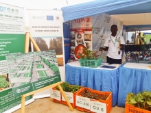 Wilson Koma- a representative of Kangulumira Clonal Nursery, one of the FAO/SPGS III certified nurseries displays seedlings at the FAO stall during the Show